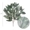 2-Pack: UV Dusty Miller Bush with Silk Leaves by Floral Home&#xAE;